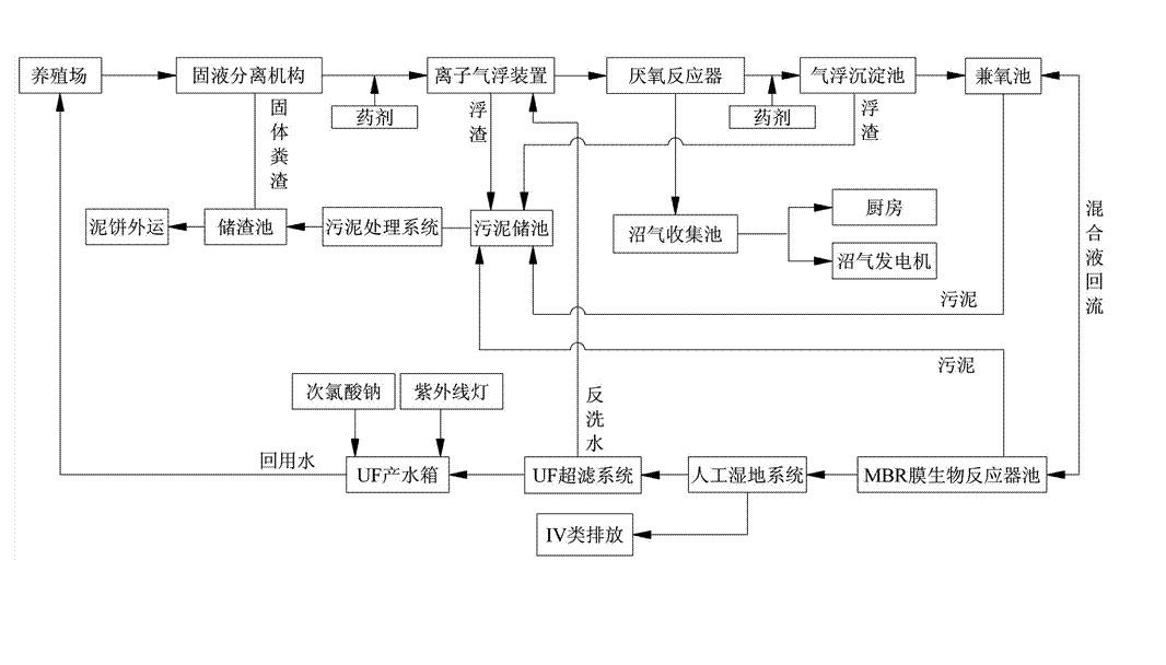 農(nóng)村養(yǎng)殖戶如何低成本有效處理污水，這兩種做法你應(yīng)該知道!02