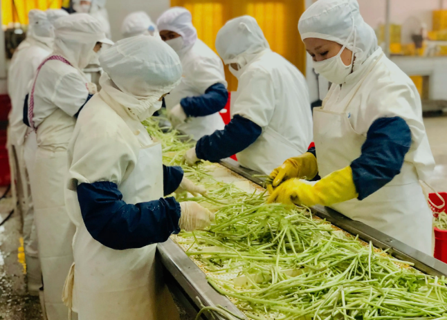 三種食品污水處理設(shè)備工藝流程，看看哪種適合您？